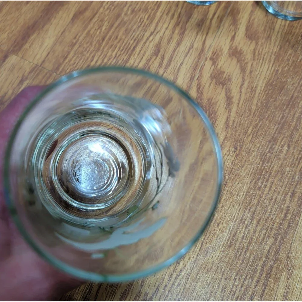 Vintage MCM Glass Highball Tumblers Set of 4 White Blossom & Green Leaf Dogwood